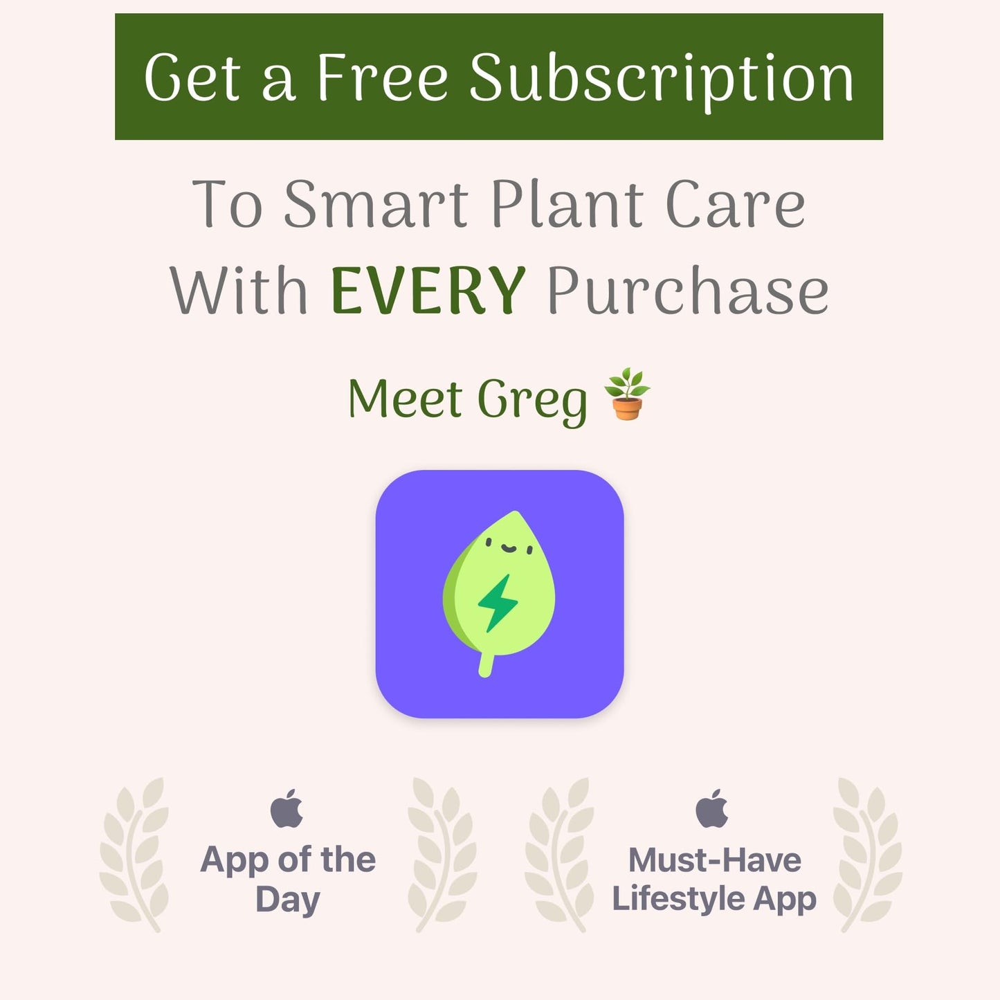 American Plant Exchange Parlor Palm – Live 6-Inch Potted Houseplant, Easy-Care Air-Purifying Indoor Palm, Low-Light Tolerant Tropical Plant for Home, Office, Bedroom & Modern Indoor Décor