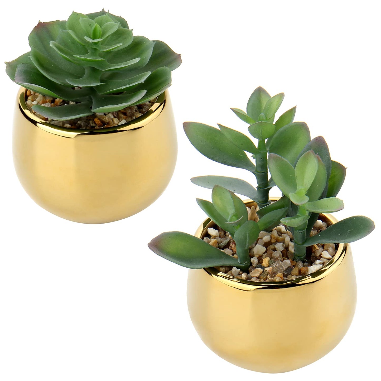 Briful Small Artificial Succulents in Pots Set of 2 Realistic Faux Succulents Plants with Gold Ceramic Pots Cute Mini Fake Plants Decor for Modern Home Table Office Desk Bathroom Shelf Decoration