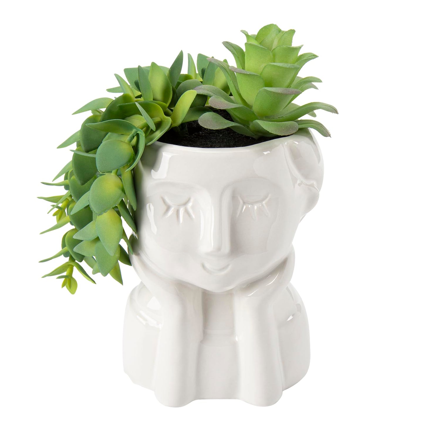 Fake Succulents Plants Artificial Succulents in Ceramic Pots Fake Potted Plants Faux Plants Indoor Fake Plants for Office, Desk, Shelf, Succulent Decor