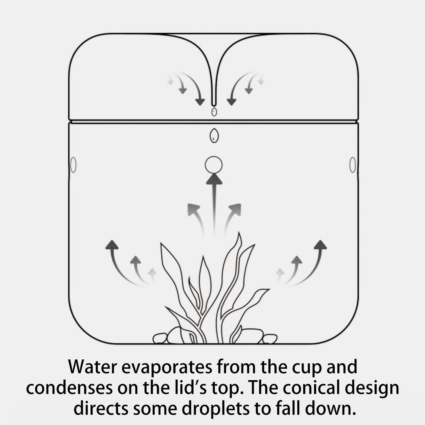 SARUFO Small Glass Plant Terrarium 4.7"X7" Inches Succulent Air Planter Fern Moss Micro-Landscape Vase for Home Garden Office Tabletop Decoration Container with Lid Indoor Wardian Copyright Patent