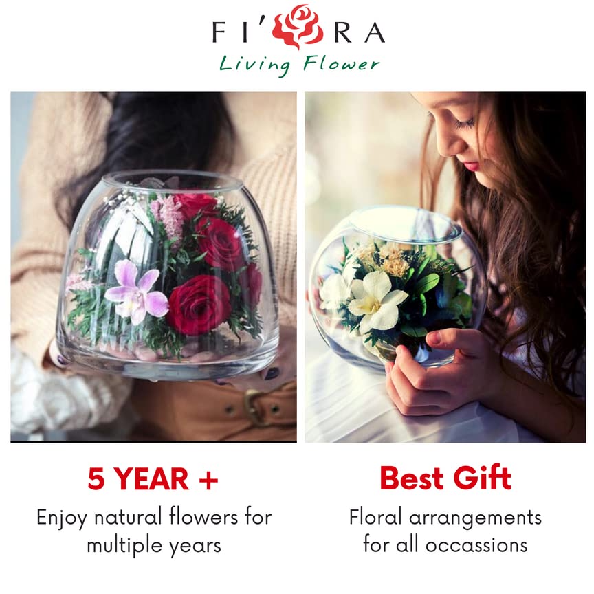Fiora Flower | Long Lasting Real Roses in a Sealed Vase | Lasts up to 5 Years | Unique Present Gift
