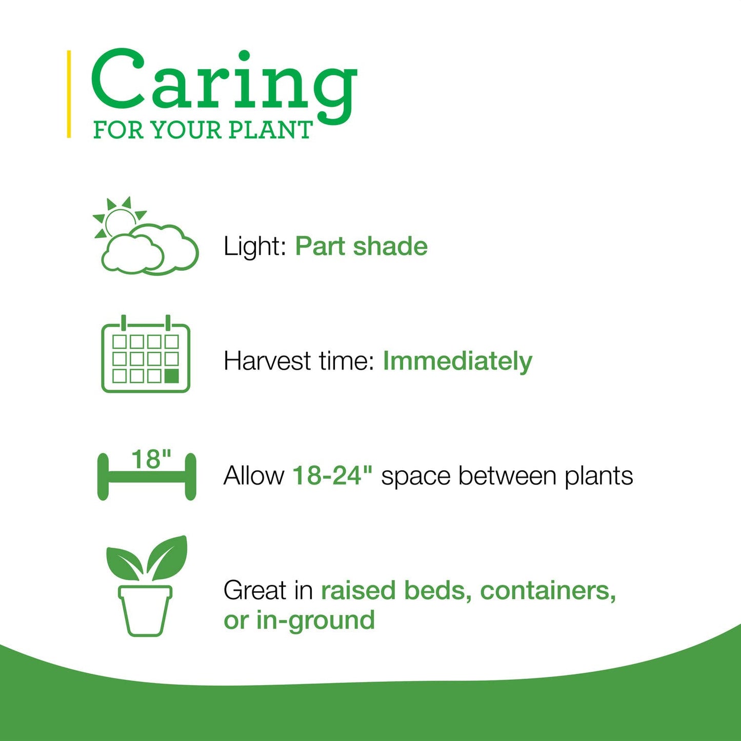 Bonnie Plants Peppermint Live Edible Aromatic Herb Plant - 4 Pack, Pet Friendly, Low Light, Part Shade