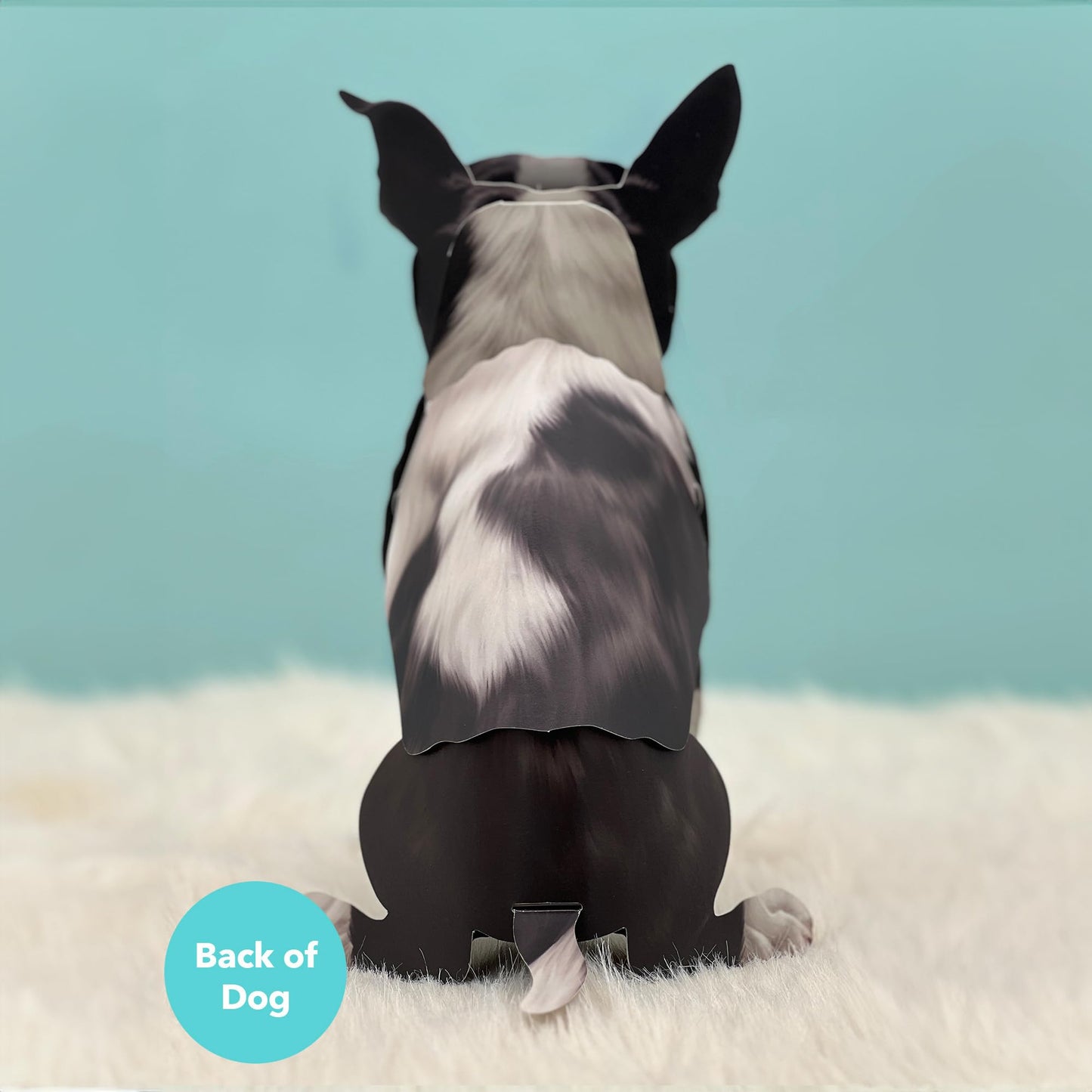 Freshcut Paper Pop Up Pet Cards, Gifts for Dog Lovers, Birthday Cards with Accessory Sheet, Note Card & Envelope, 3D Popup Greeting Card, Boston Terrier