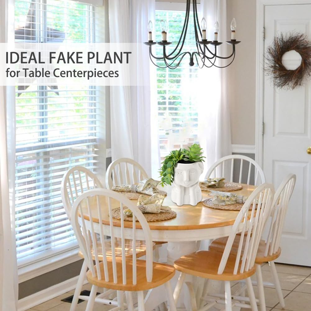 Fake Succulents Plants Artificial Succulents in Ceramic Pots Fake Potted Plants Faux Plants Indoor Fake Plants for Office, Desk, Shelf, Succulent Decor