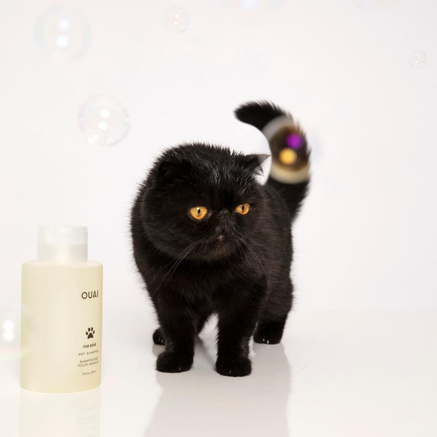 OUAI Fur Bébé Pet Shampoo, Mercer Street Scent - Dog Shampoo and Coat Wash for Hydrating, Cleansing and Adding Shine - Pet Supplies by OUAI (16 Fl Oz)