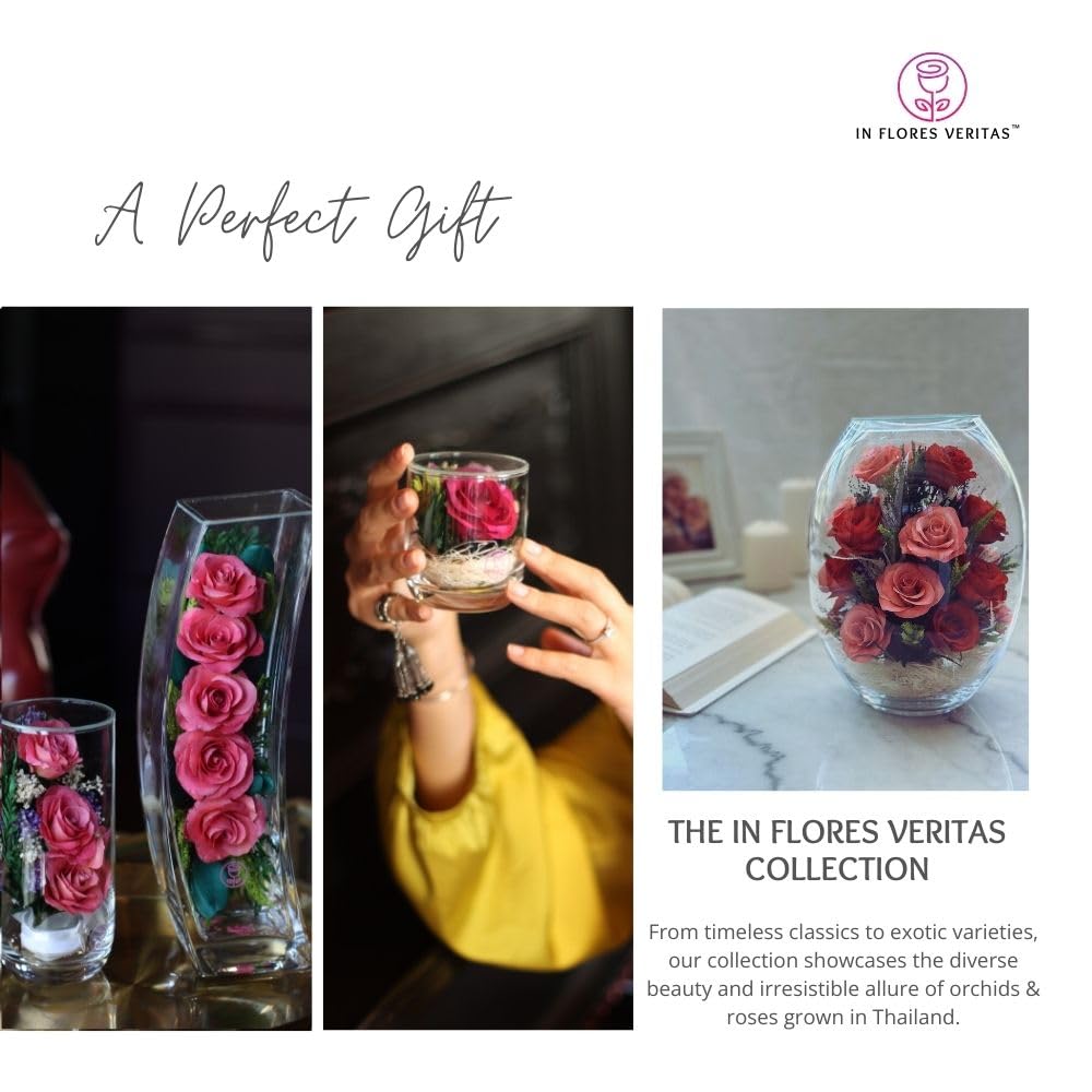 In Flores Veritas | Fresh Cut Preserved Roses in a Sealed Glass Vase | Long Lasting Bouquet Stays Fresh for 5+ Years | No Water Needed | Allergy Free | Unique Present Gift (FOMO Pink)
