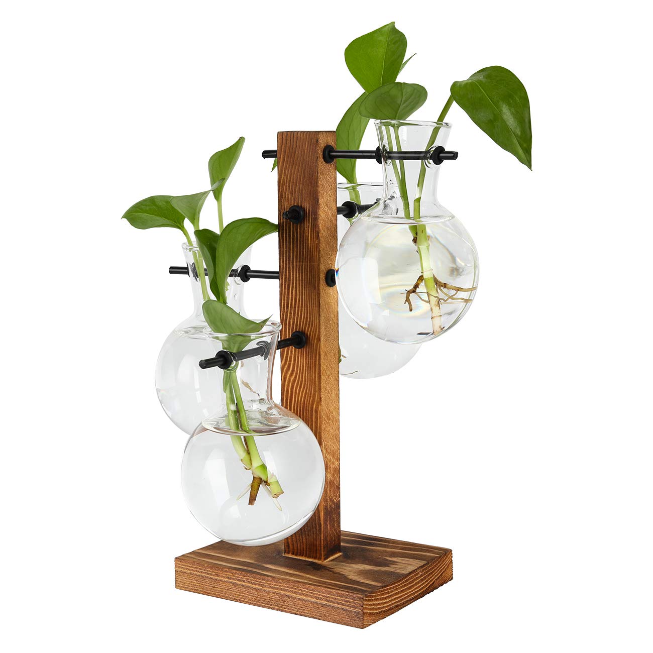 PAG Planter Terrariums Kit Desktop Hydroponics Air Plant Holder with 4 Bulb Beaker Glass Vase and Solid Wood Stand, Home Office Decoration Gardening Gift for Women