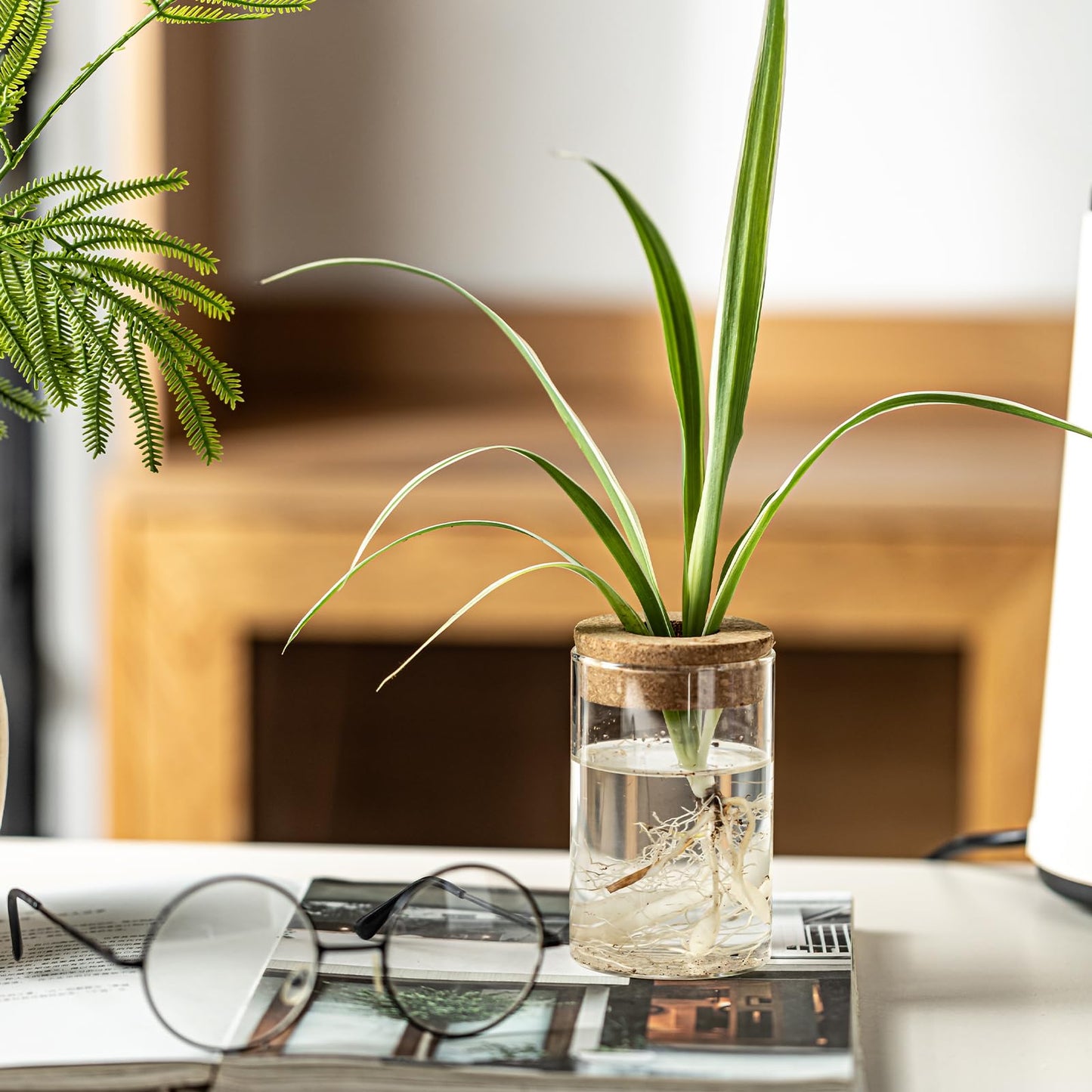 wangsdjy Separated Desktop Glass Flower Vases - Ideal Plants Propagation Stations for Living Room, Bedroom Decoration,Home Decor (2)