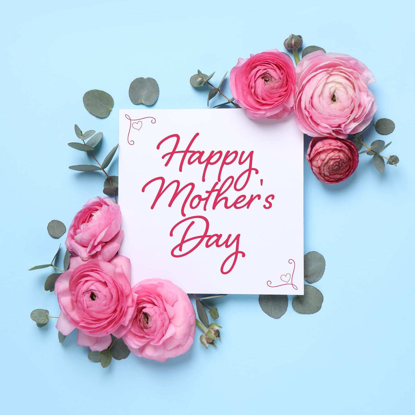 AVERGO Bonsai Tree Kit for Beginners – 5X Unique Japanese Bonzai Trees | Complete Indoor Starter Kit for Growing Plants with Bonsai Seeds, Tools & Planters – Gardening Gifts for Women & Men