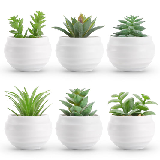 Der Rose Set of 6 Succulents Plants Artificial in Pots Small Fake Plants for Bedroom Aesthetic Living Room Office Shelf Bathroom Decor