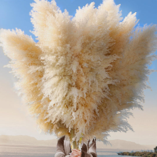 Pasuvsigt 12pcs 40'' Dried Pampas Grass Decor - Tall-Large Pampas Grass - Natural Beige - Boho Home Decor