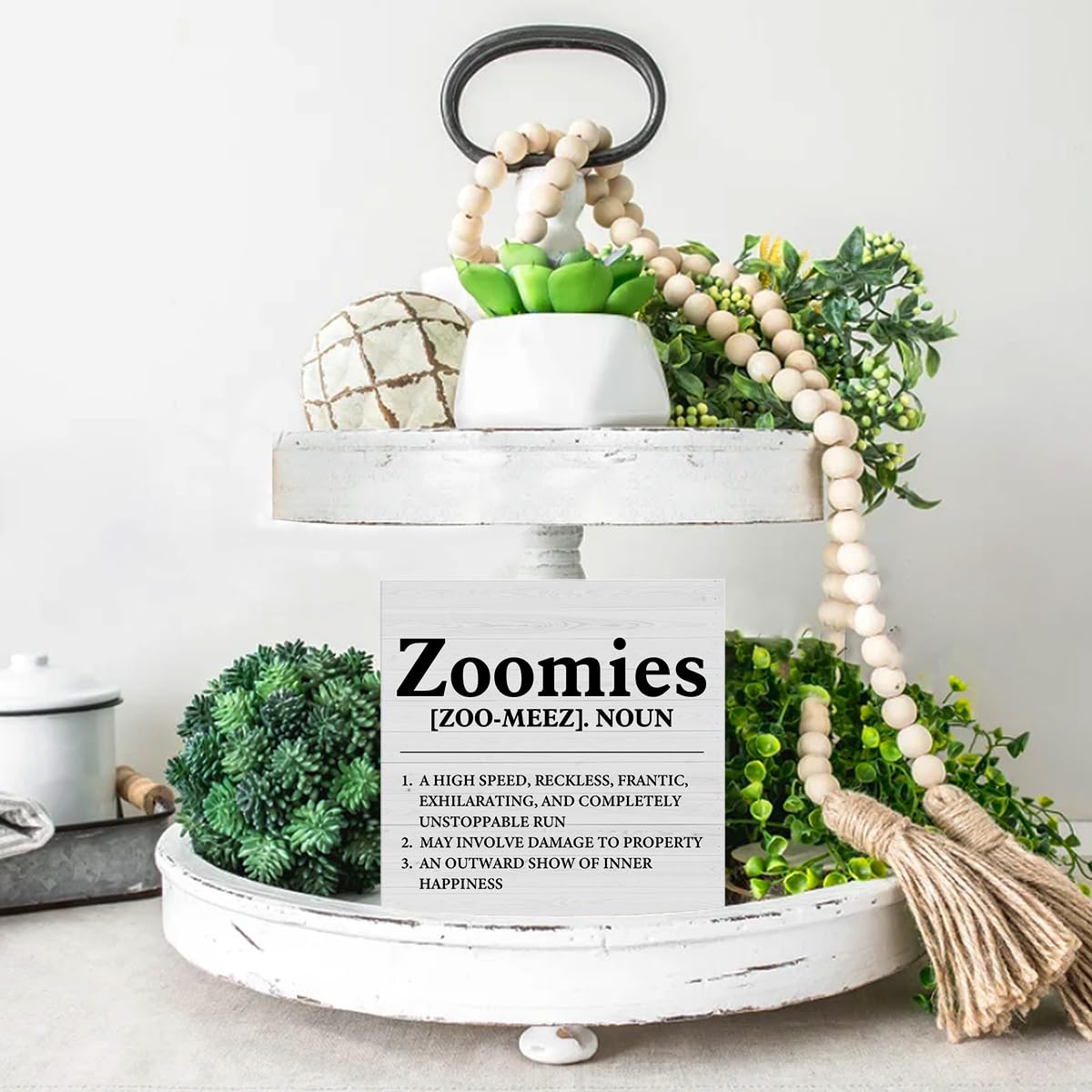 Dumyum Dog Lover Gift Zoomies Definition Wooden Box Sign Dog Theme Desk Decorative Wooden Sign Home Decor for Desk Table Shelf 5 x 5 Inches