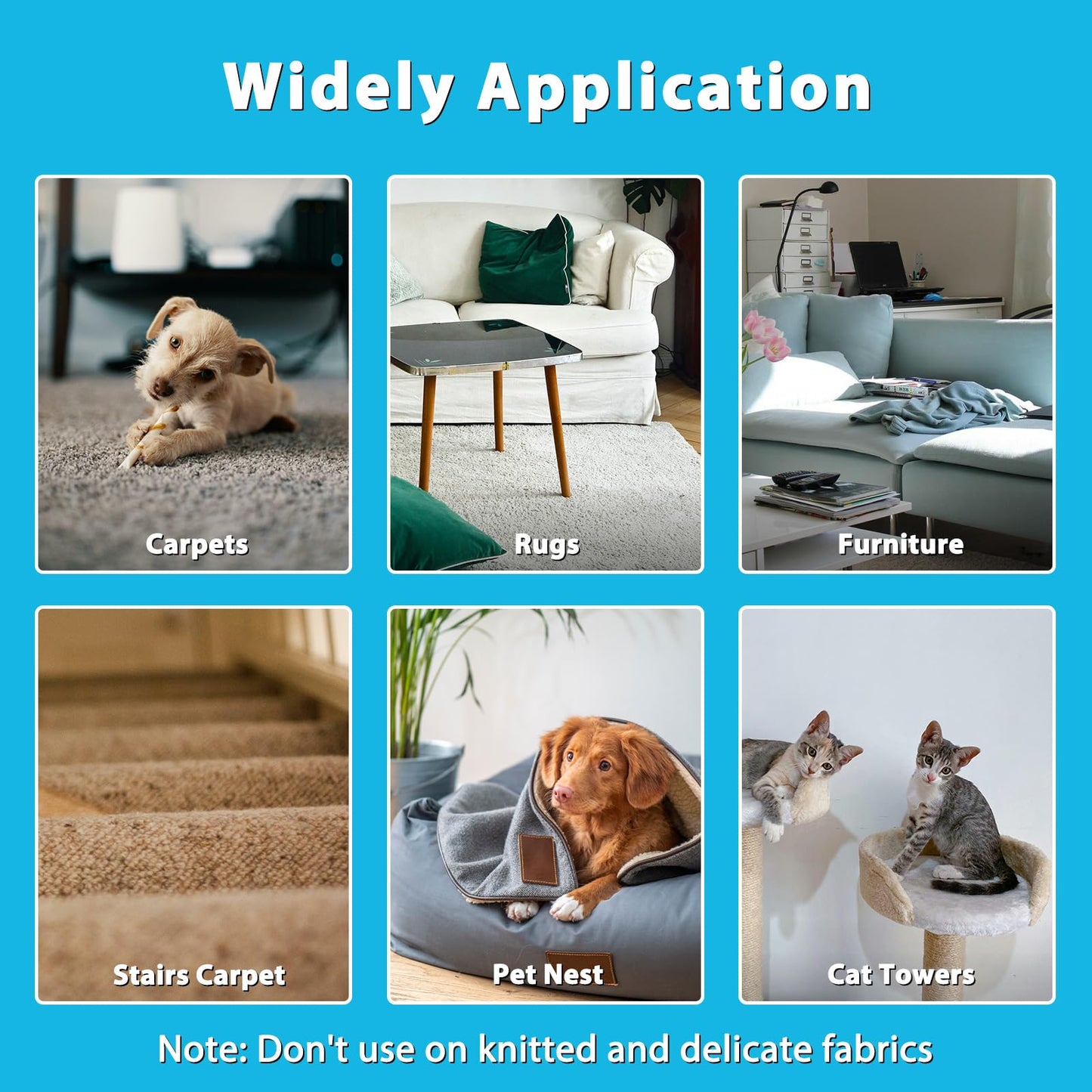 Eaersan 3 in 1 Carpet Rake Kit for Pet Hair Removal Tool - 45” Adjustable Long Handle Pet Hair Remover, Reusable Carpet Scraper Dog Cat Deep Hair Cleaner Remover Tool for Rugs, Mats, Couch, Furniture