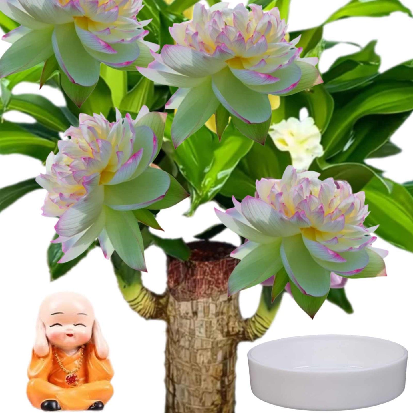 Brazilian Wood,Brazilian Lucky Wood Plant,Mini Sculpture Art,Suitable for Home, Outdoor, Office, Kitchen, Bedroom, Garden Decoration (Yellow)