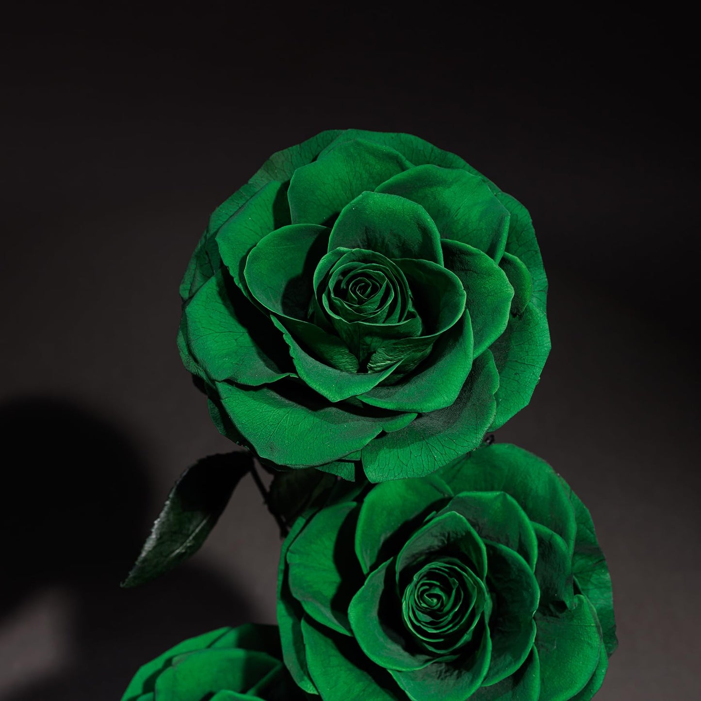 4 Preserved Flowers in Glass Dome - Roses Gift for Her - Birthday Flowers for Women, Green