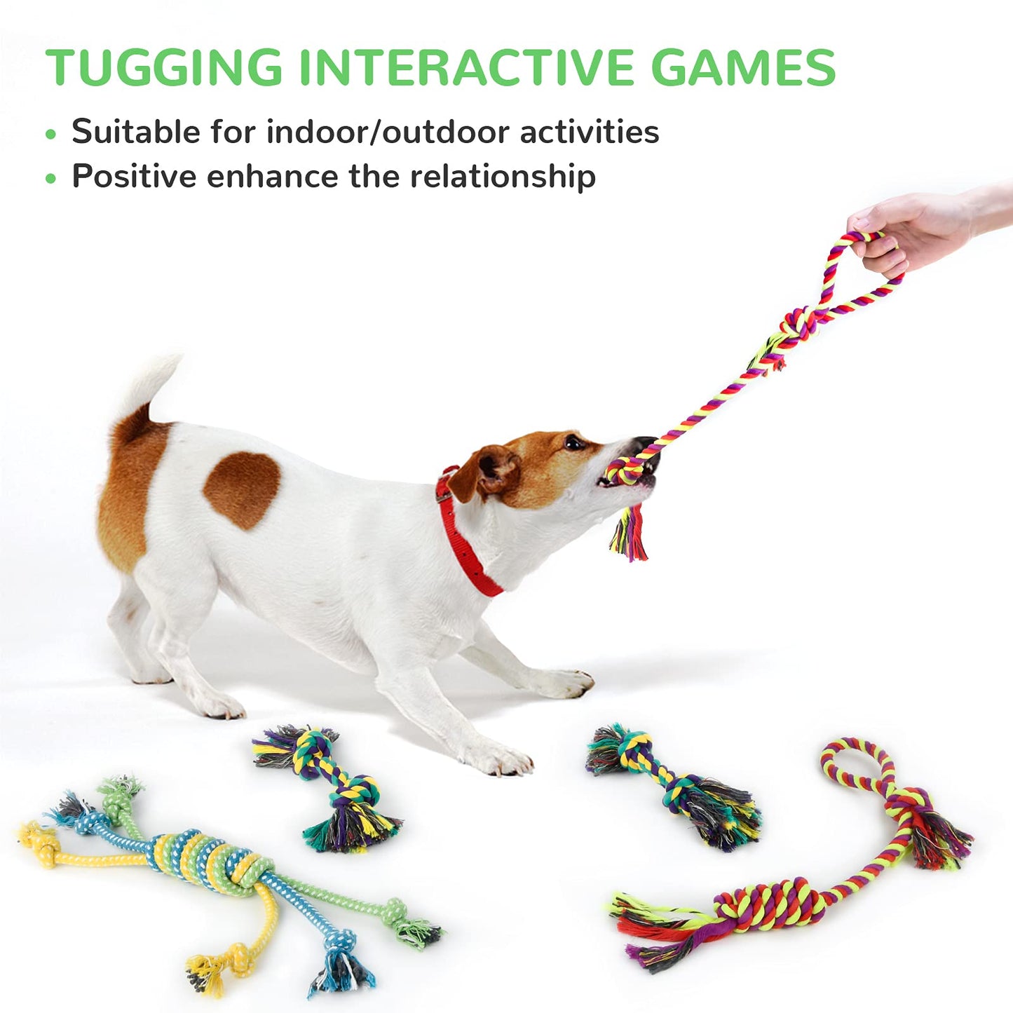 LEGEND SANDY Puppy Toys, Squeaky Dog Toys for Small Dogs, 12 Pack Puppy Chew Toys for Teething, Dog Rope Toy and Cute Stuffed Animals Value Bundle