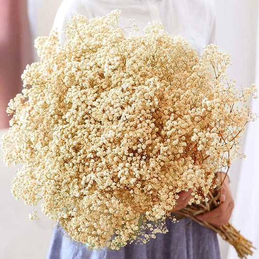 Dried Babys Breath Bouquet-17.2 inch Dried Flowers, Natural Gypsophila Branches for Home Decor, Wedding, Table Decor, DIY Wreath Floral, Dry Flowers Bulk for Vase (Ivory White max)