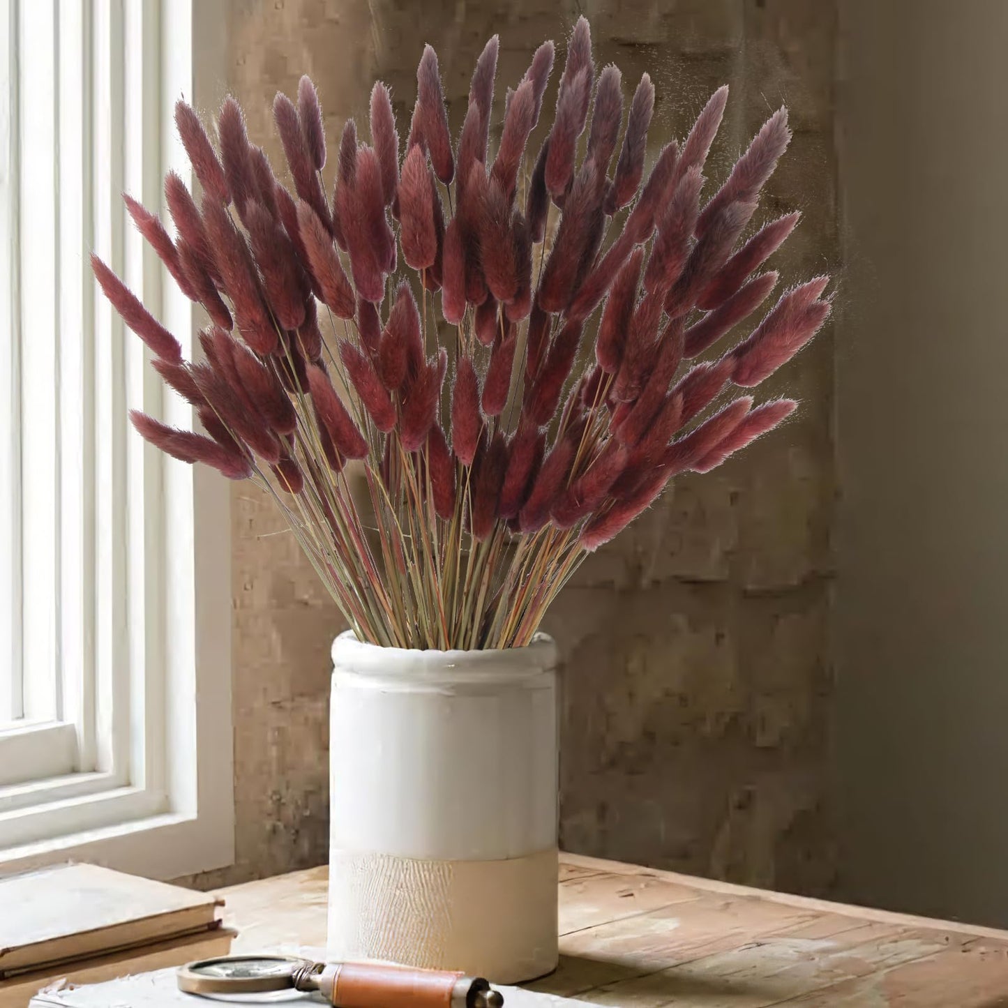 CITYES 120 Pcs Dried Bunny Tails Flower Lagurus Ovatus Natural Dried Flowers Rabbit Tail Grass Dried Pampas Grass Floral Arrangement for Boho Decor Wedding Home DIY Farmhouse Table Dark Brown