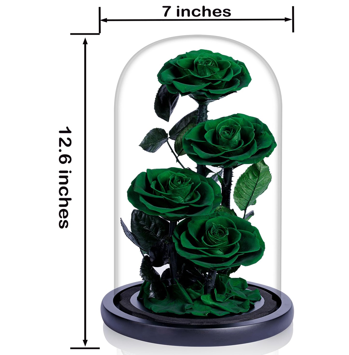 4 Preserved Flowers in Glass Dome - Roses Gift for Her - Birthday Flowers for Women, Green