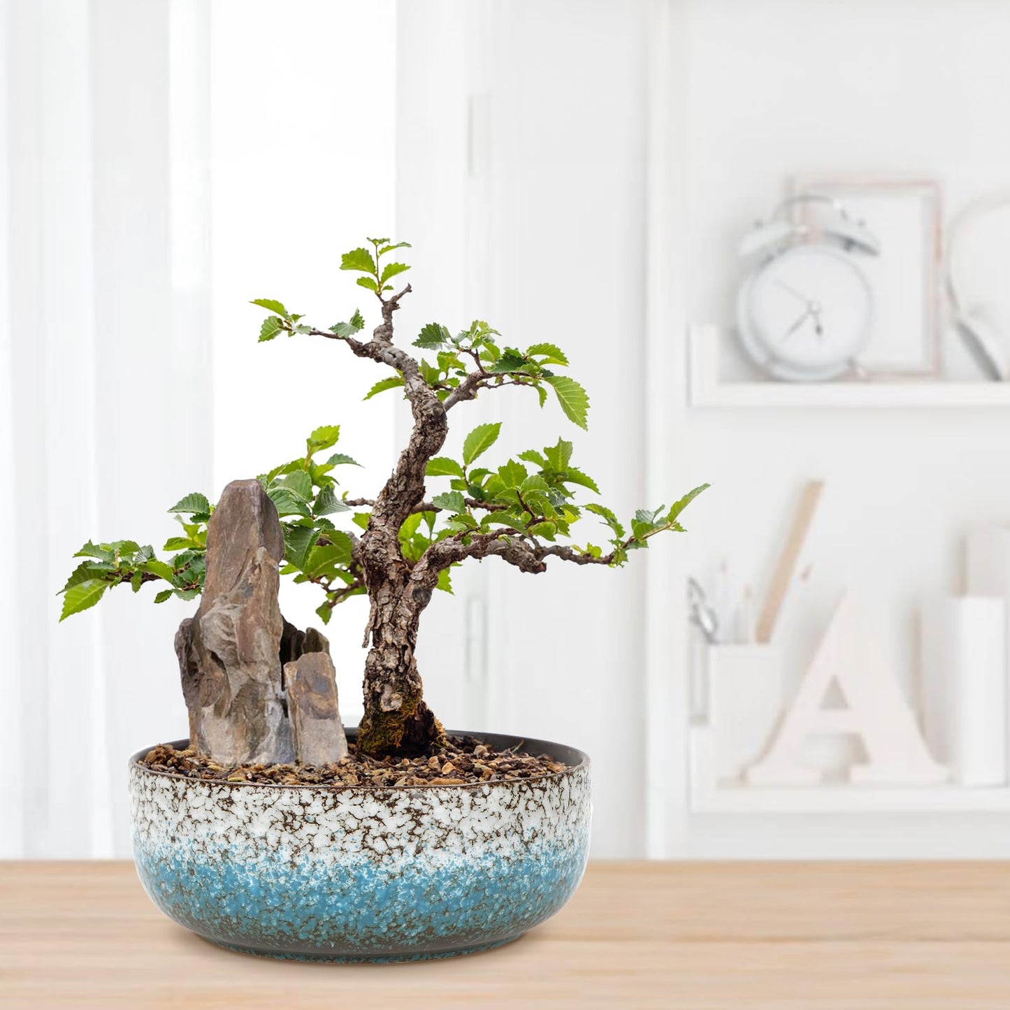 kilolfy 2pc Pot 6.5" 8.5" Glazed Ceramic Succulent Planter Container