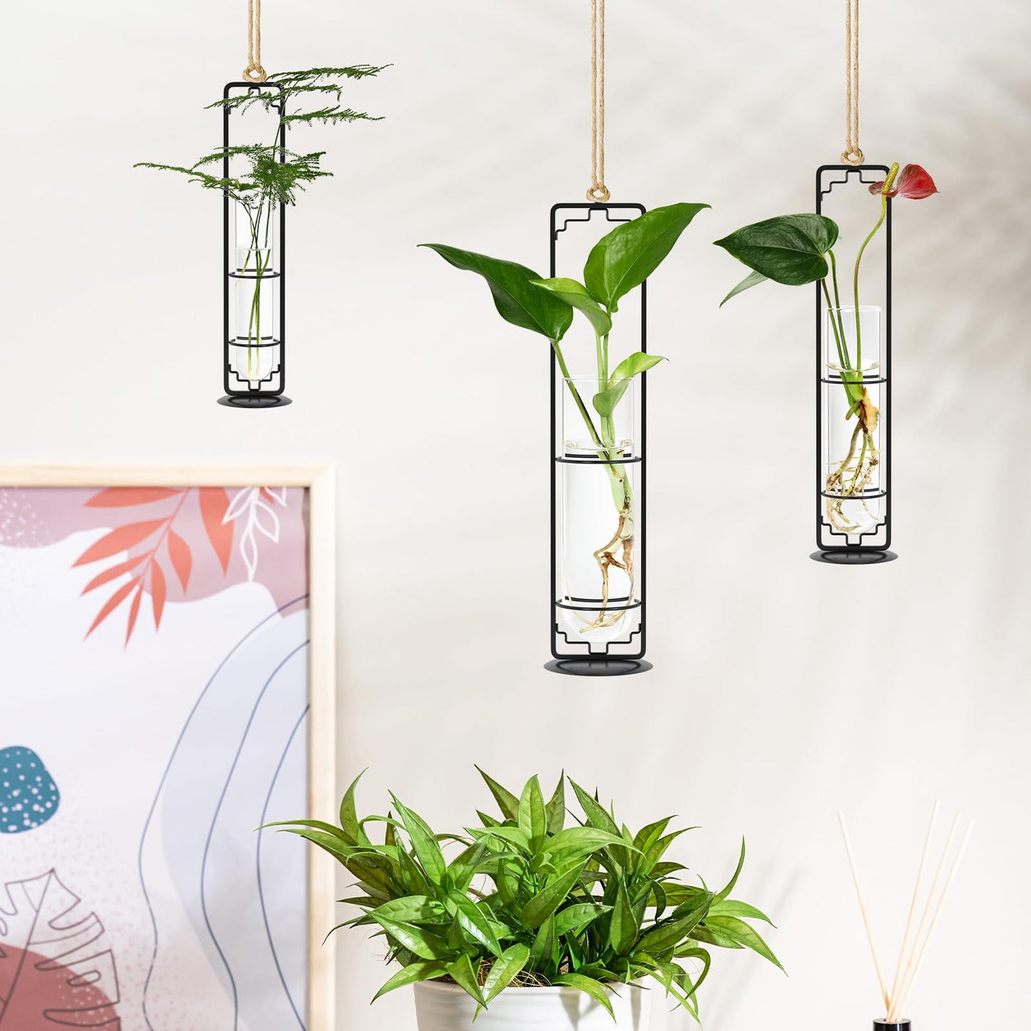 MIPON Plant Propagation Stations,Hanging Glass Propagation Test Tube Vases for Plants with Gold Metal Stand for Hydroponic Cutting Home Garden Office Decor-Black