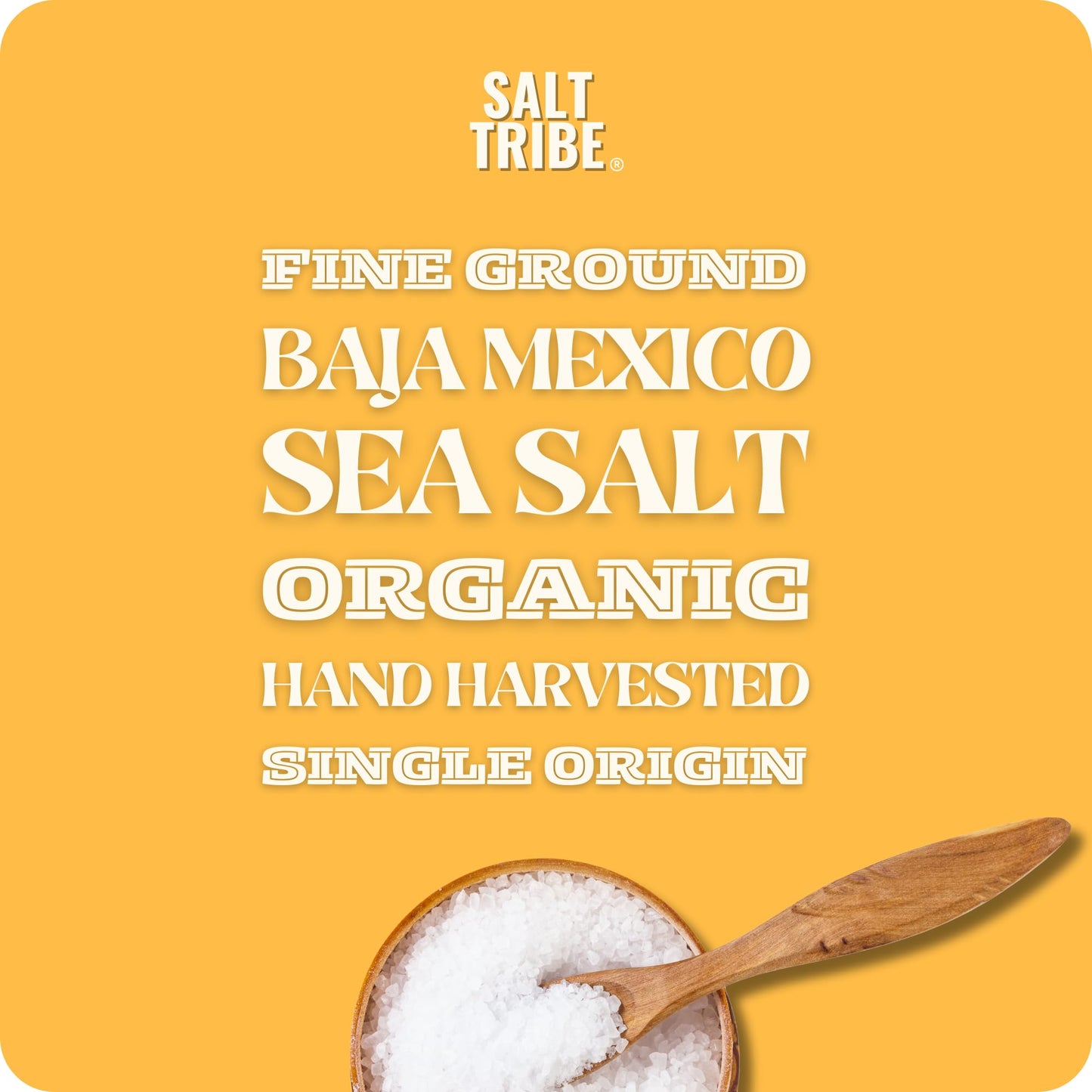 Salt Tribe™ | Baja Sea Salt | Mineral Rich | 90+ Trace Minerals | Fine Ground | Hydration Support | Sal Organica | Low Sodium | Organic & Unrefined | Single Origin Mexico (8 Ounce)