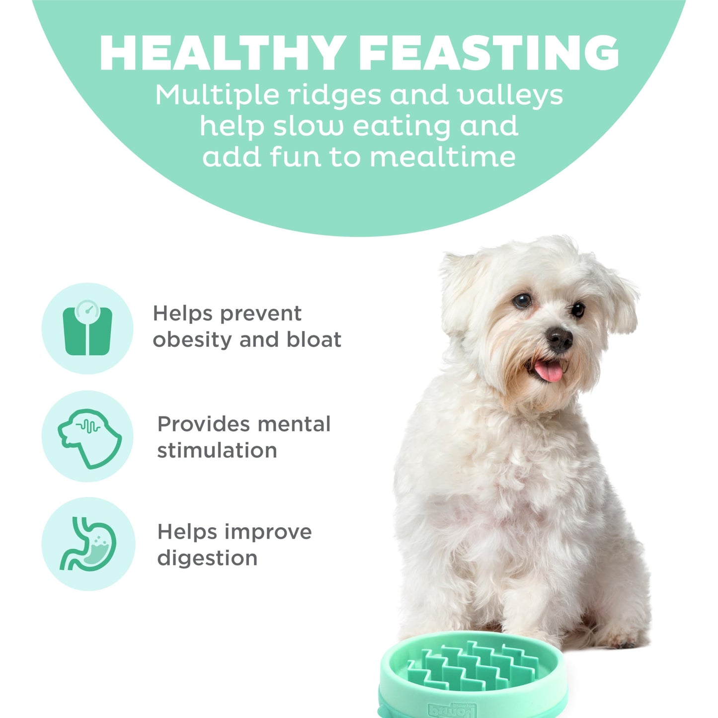 Outward Hound Fun Feeder Slo Bowl Slow Pet Feeder Bowl for Dogs in Mint Plastic