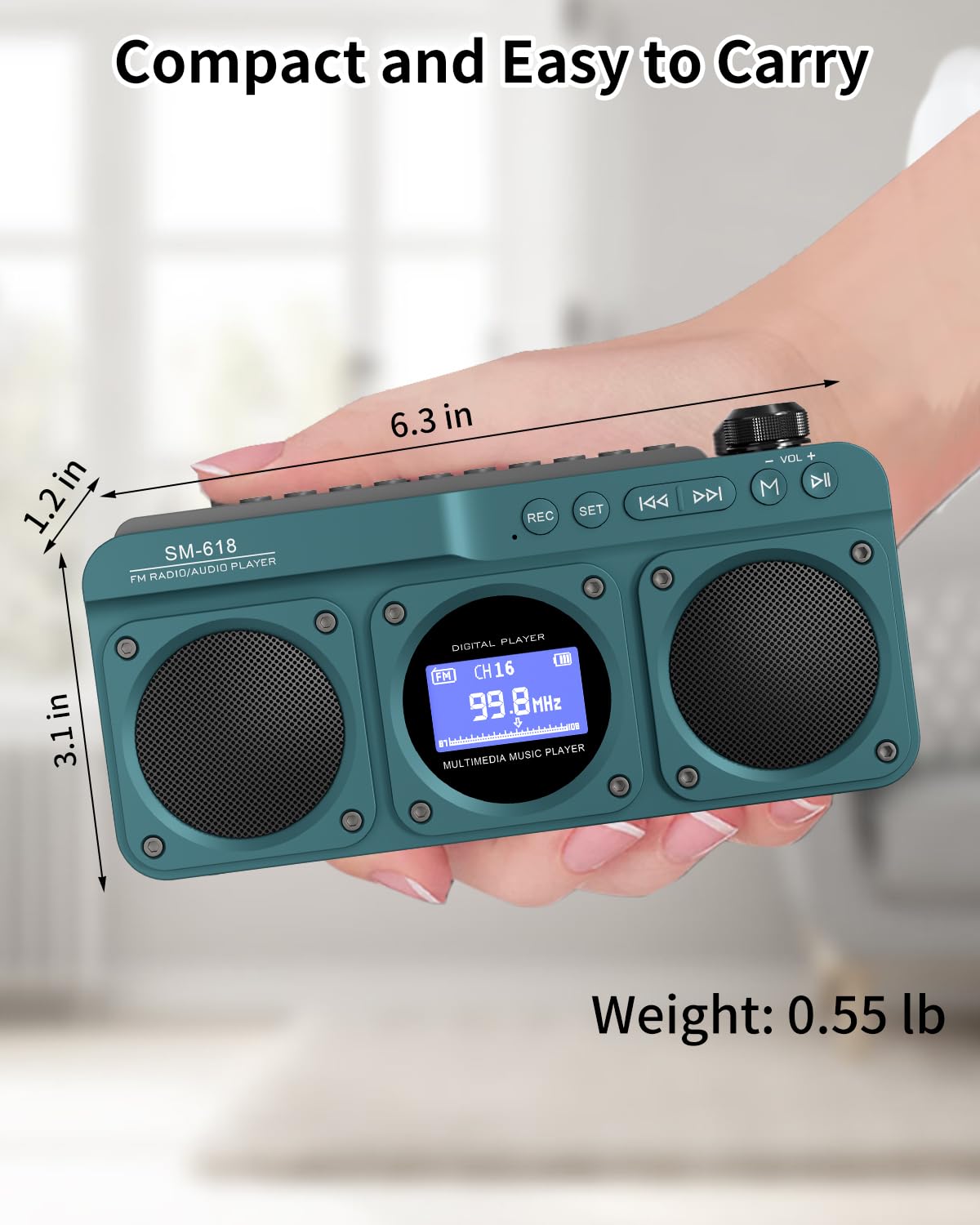 SEMIER Small Digital FM Radio Bluetooth Speaker, Handheld Rechargeable Radio Wireless Speaker, LCD Display, Double Speakers, Headphone Jack, Support USB/Micro SD Card MP3 Play for Home Outdoor