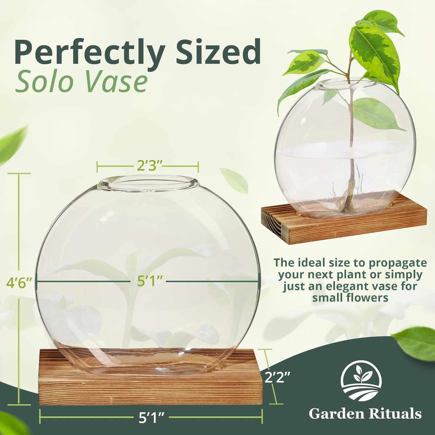 Plant Propagation Station Vase, Glass Terrarium Jars, Modern Hydroponic Planters for Indoor Plants, Desktop Glass Pots for Plants Round Vases Plant Holder Home Office Decor, 1Vase