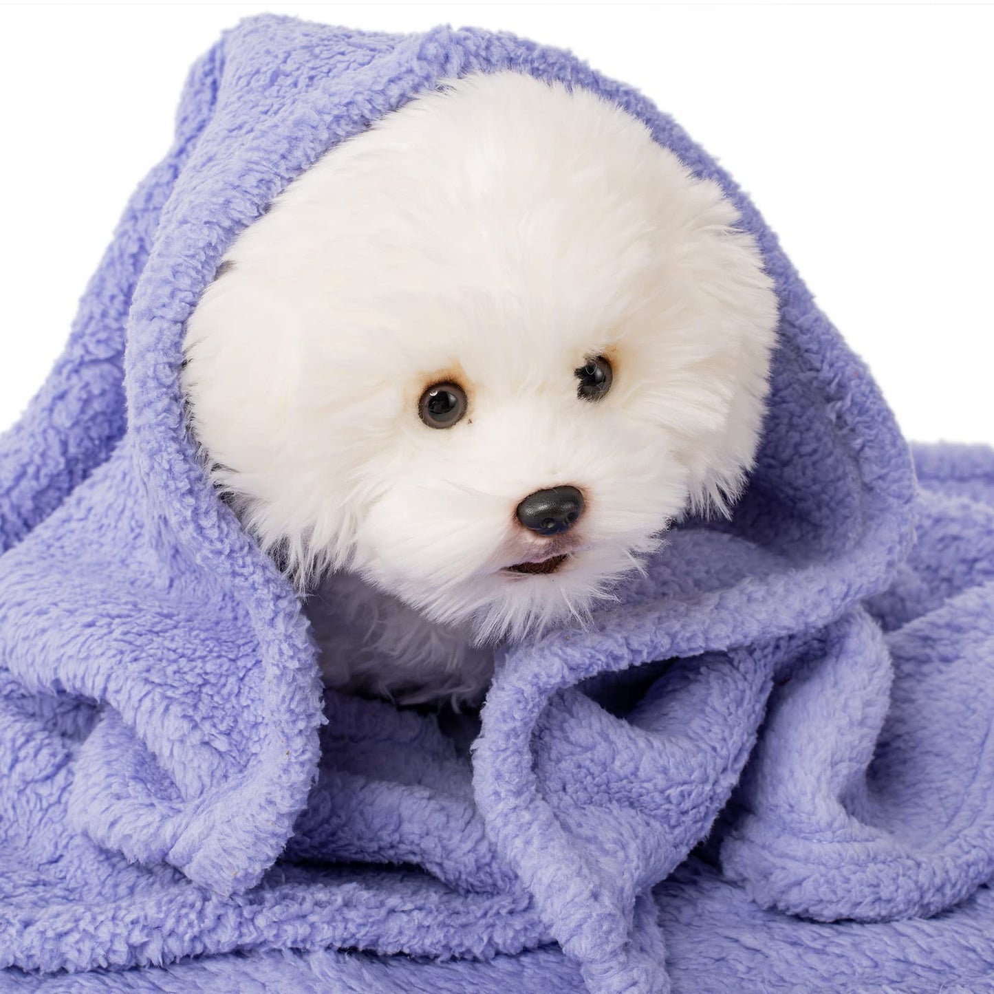 3 Blankets, Dog Cat Pet Blanket, Soft Warm Fleece, for Puppy, Small Dogs or Kitten, Cats, Plush Fuzzy Blanket for Bed, Sofa, Travel (32" x 24", 3/Pack, Lavender+Pink+Dark Pink)