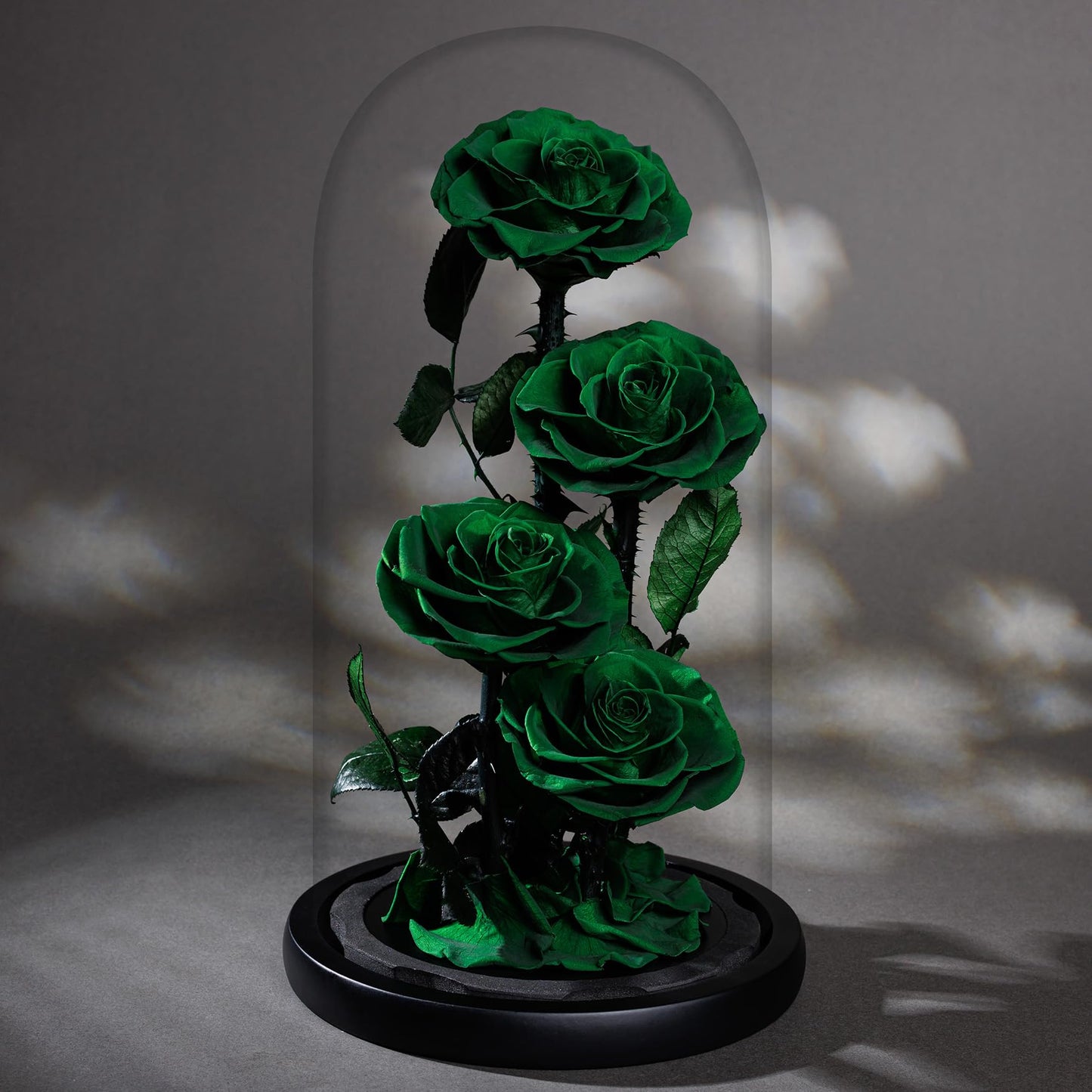 4 Preserved Flowers in Glass Dome - Roses Gift for Her - Birthday Flowers for Women, Green