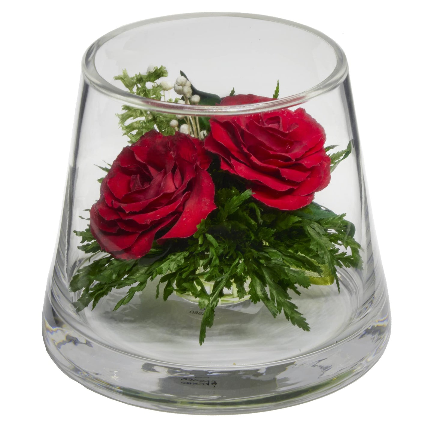 Fiora Flower | Long Lasting Real Roses in a Sealed Vase | Lasts up to 5 Years | Unique Present Gift