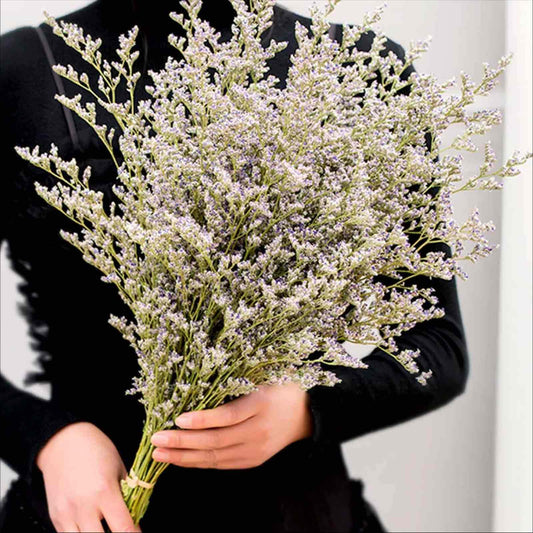 Dried Flowers Bouquet, Dry Caspia Flower Bundle, Floral Lavender, Babys Breath Artificial Flowers Arrangements for Wedding Decor, Door Wreath, Home Party Table Vase Decoration (Natural, 17'')