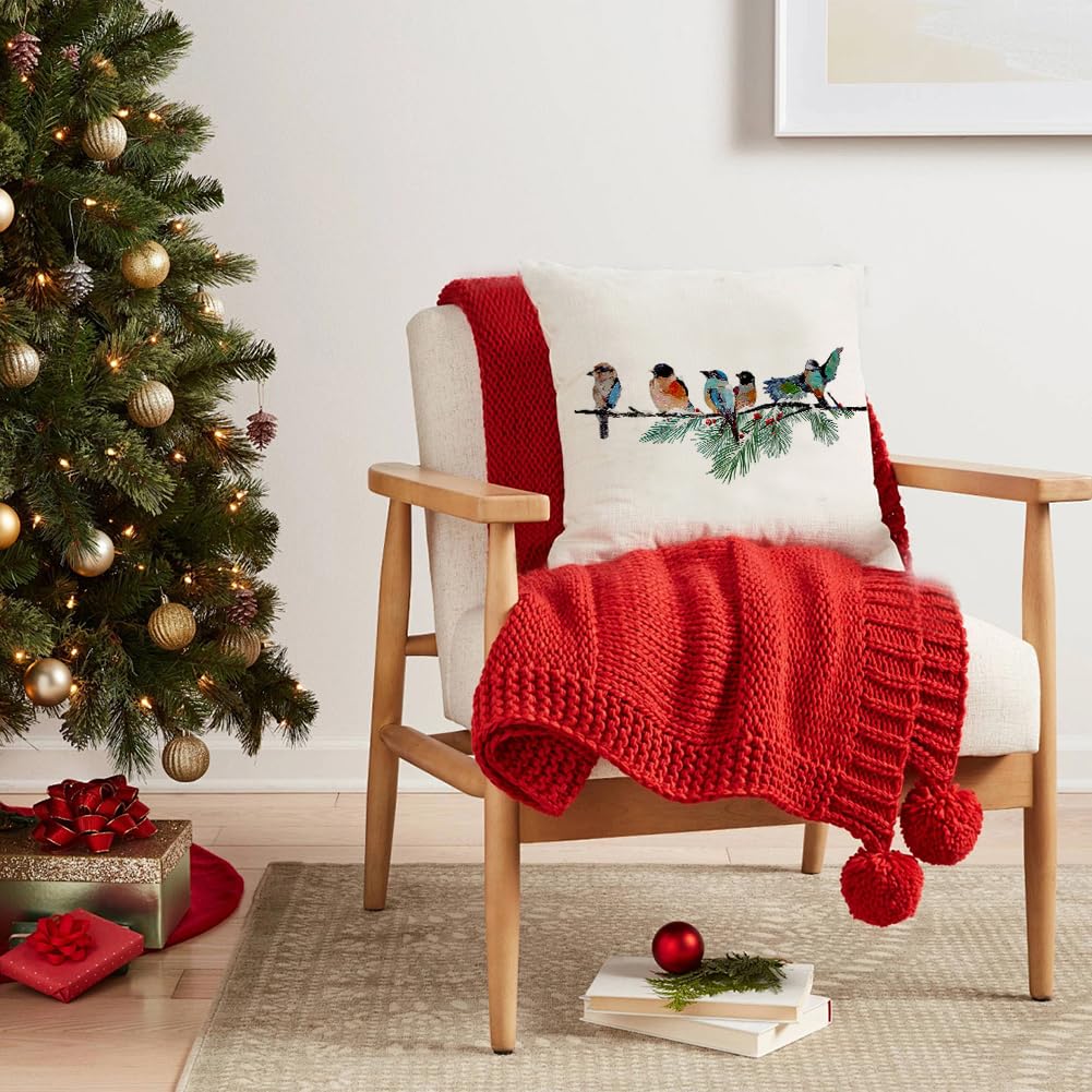 RABUSOFA Christmas Pillow Covers 18x18 Inch Birds Christmas Decorations Christmas Winter Throw Pillow Cases Xmas Outdoor Birds Decor Decorative Pillows for Couch Holiday Teal