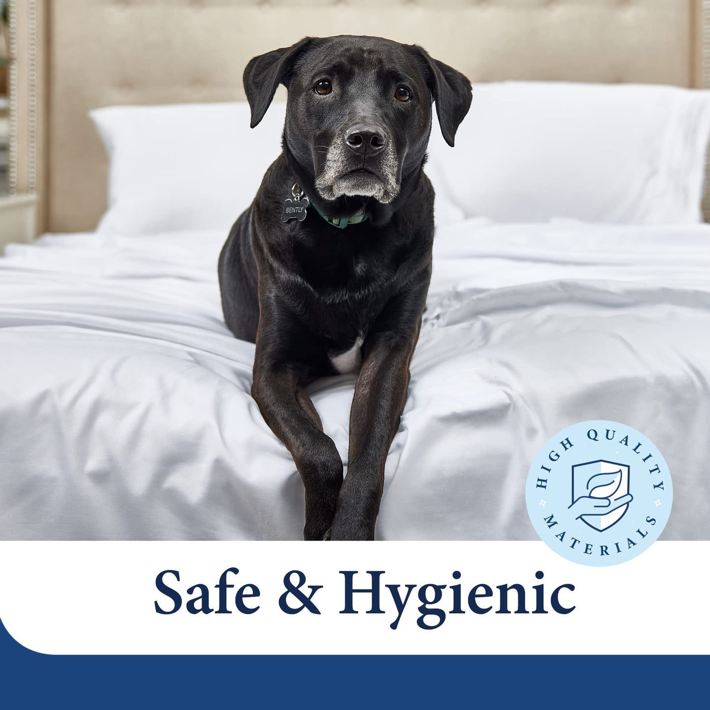 Cosy House Collection Everyday 1500 Series Bed Sheet Set - Ultra Soft & Cool Hotel Luxury Bedding - Deep Pocket - Wrinkle, Stain and Fade Resistant - 4 Piece Set (Queen, Bright Turquoise)