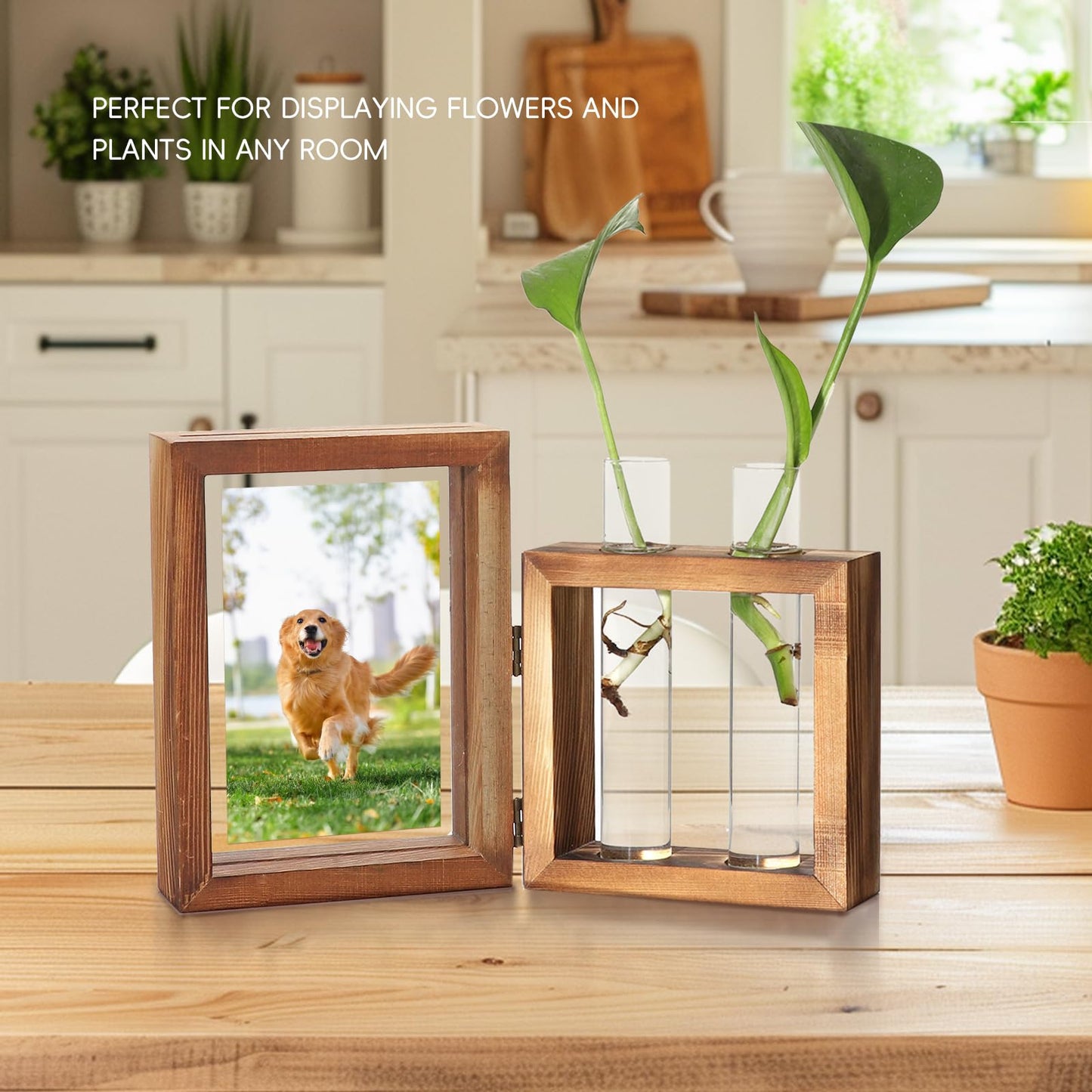 LCFALO Plant Propagation Stations, Propagation Vases for Plants with Photo Frame and Glass Planters Indoor Plant Stand Hydroponic Propagation Stations Tabletop Home Kitchen Office Decor