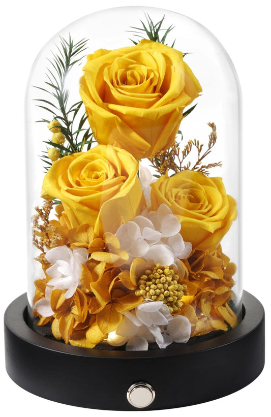 Pinnetetti Flowers for Delivery, 3 Yellow Forever Roses in Glass Dome with LED, Preserved Real Rose, Valentines Day Anniversary Birthday Mothers Day Flower Gifts for Mom Her Women Wife Mother