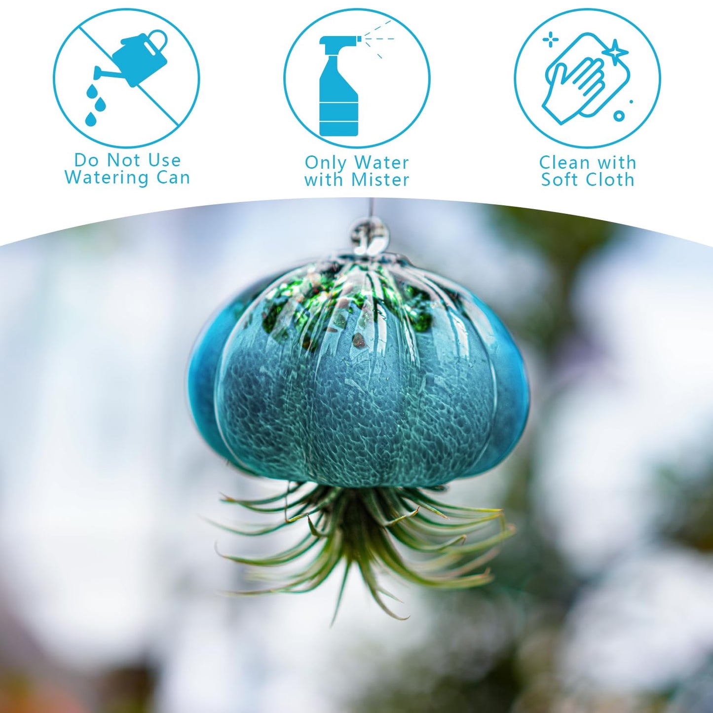 H&D HYALINE & DORA Handmade Blown Glass Hanging Jellyfish Air Planter for Live Succulent Air Plants (No Plants)