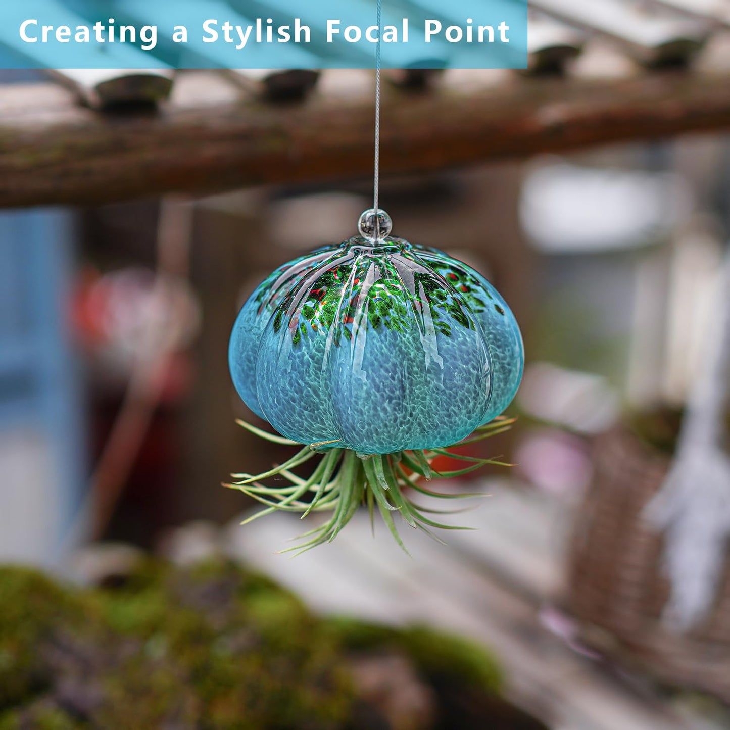 H&D HYALINE & DORA Handmade Blown Glass Hanging Jellyfish Air Planter for Live Succulent Air Plants (No Plants)