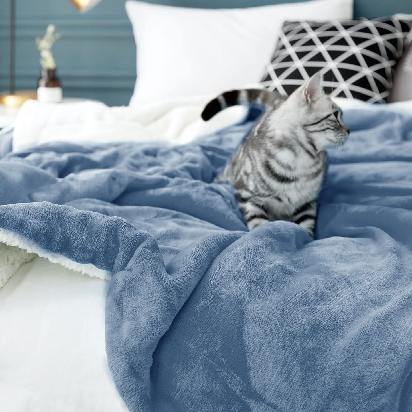 LBRO2M Sherpa Fleece Bed Blanket Queen Size,Super Soft Fuzzy Plush Warm Cozy Fluffy Microfiber Couch Throw Velvet Double Reversible Luxurious Blankets (Light Blue, Queen(90x90 Inches))