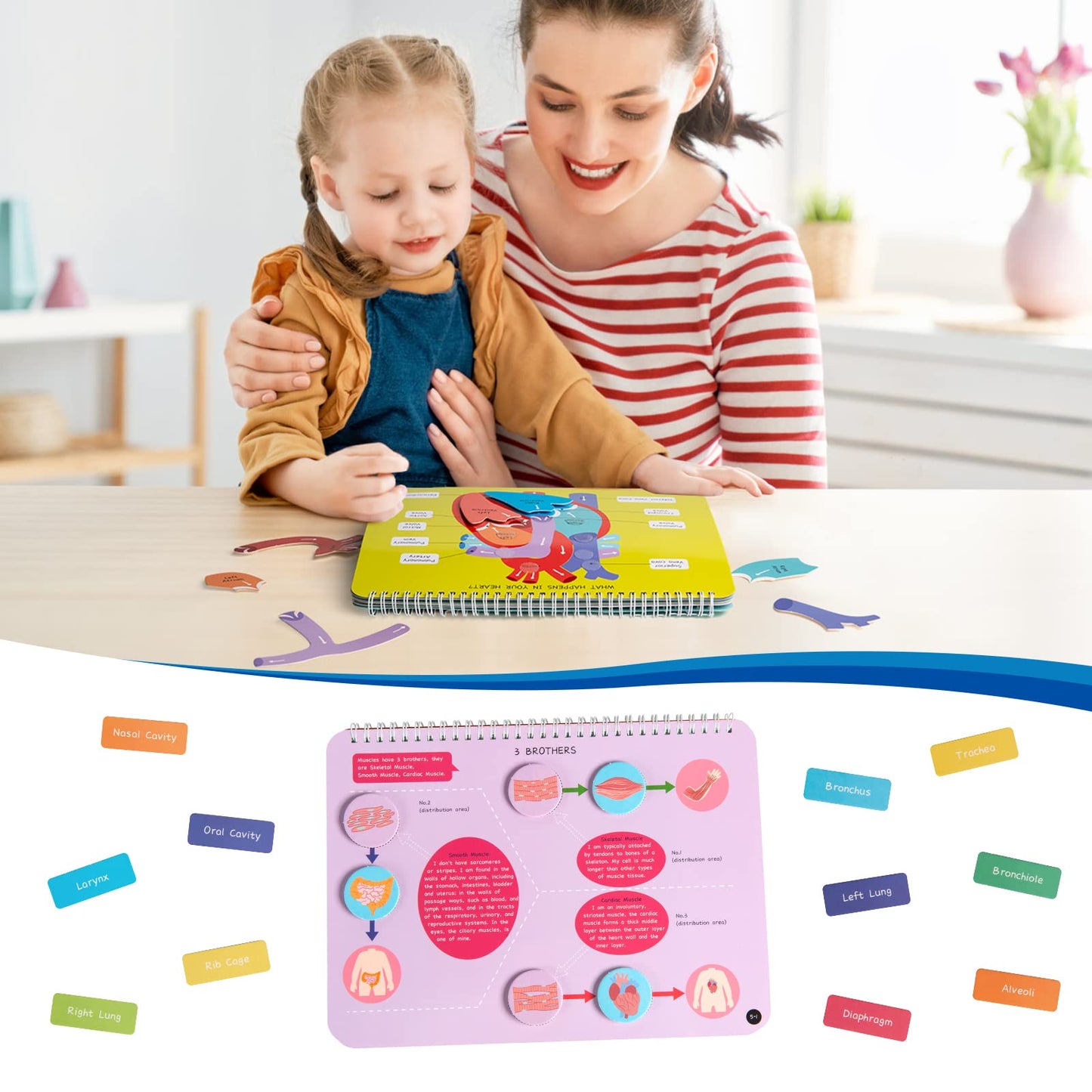 Freebear Montessori Busy Book for Kids, Human Body Anatomy Book for Toddlers, Preshool Kindergarten Learning Activities, Autism Sensory Toys, Gifts for Girls and Boys 4 5 6 7 Years - Human Body System