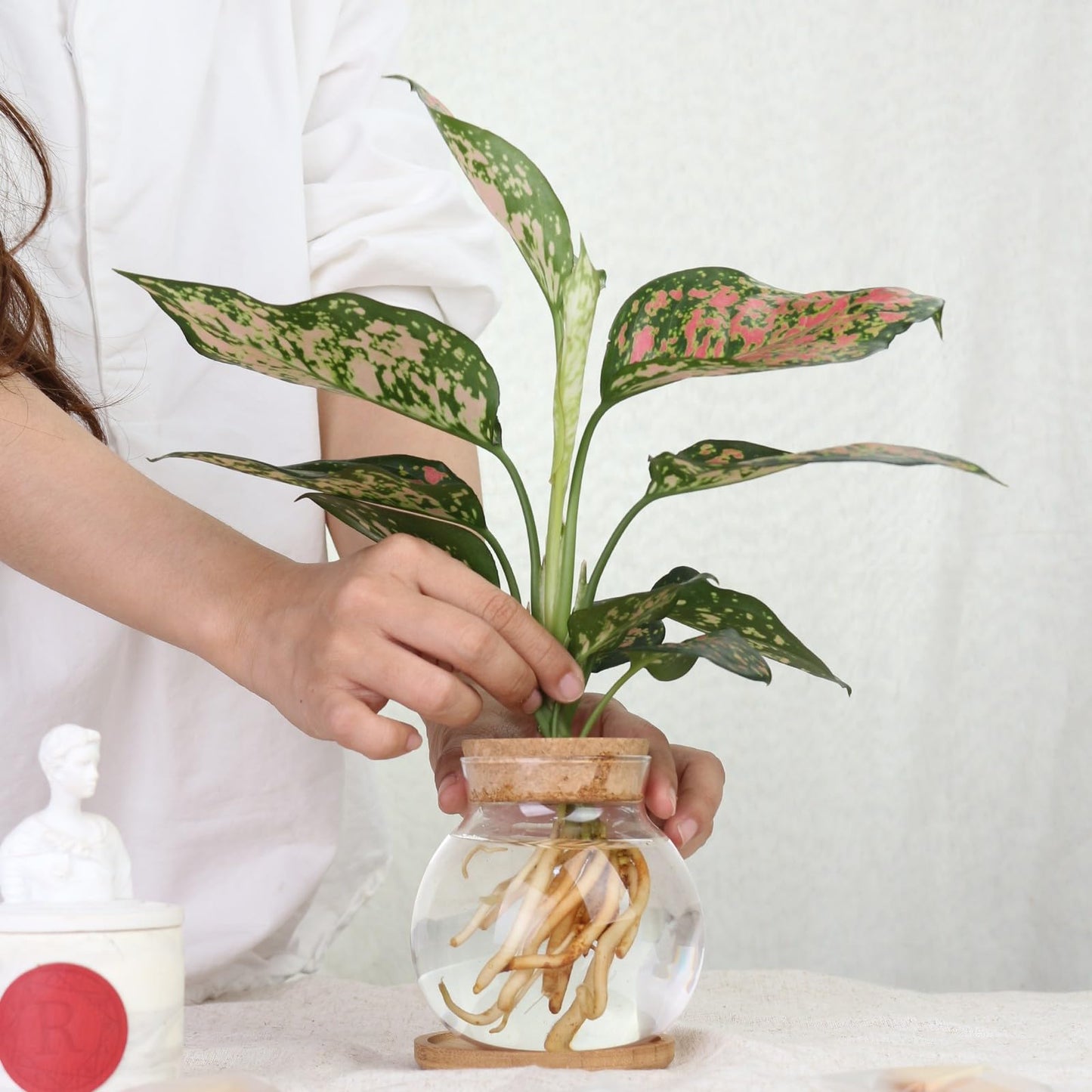 CHPINDAM Plant Propagation Station,Hydroponic Glass Container Vase Jars, with Wooden Saucer for Desks, Houses, Garden Decorations, Home Kitchen Decorations and Gifts for Plant Lovers (2)