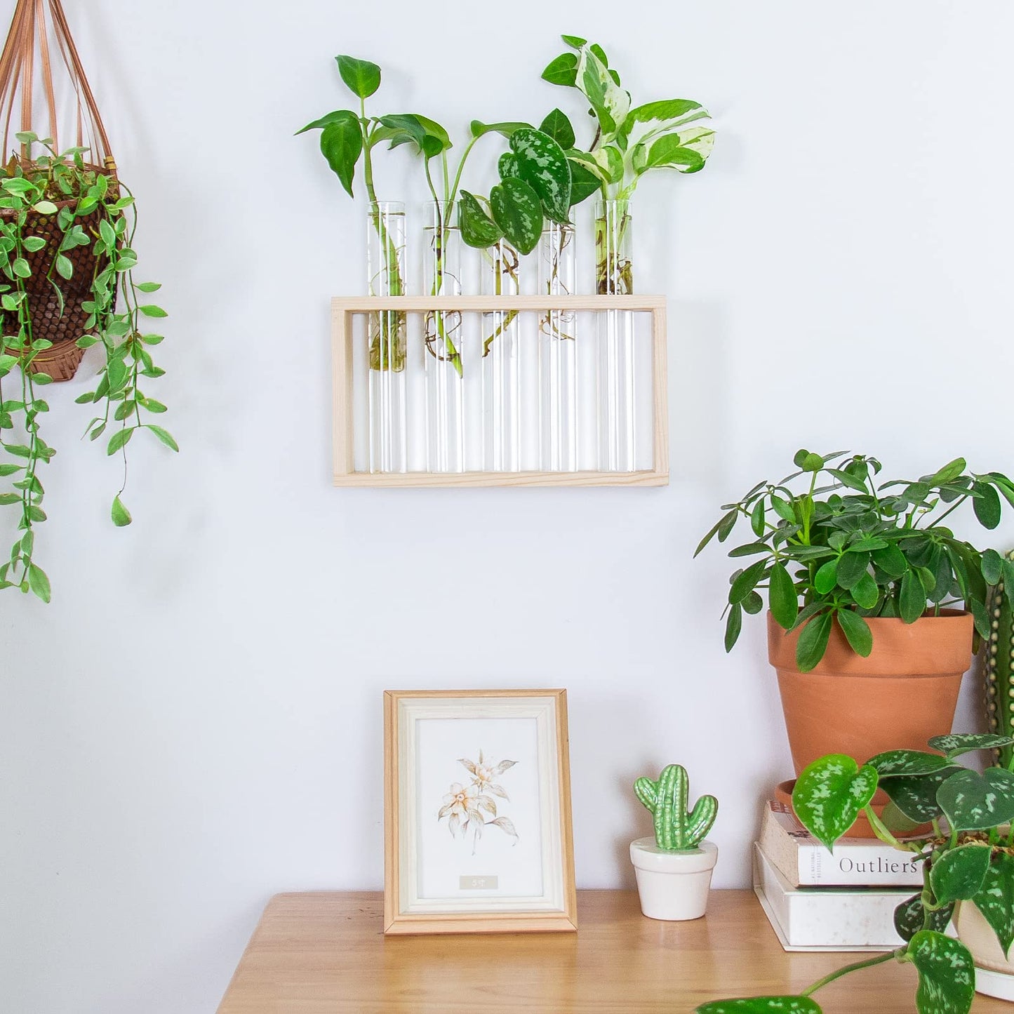 Ivolador Plant Propagation Station Terrariumin Wall Test Tube Vases Bud Tabletop Glass Wooden Stand with 5 Propagation Tubes for Propagating Hydroponic Plants Home Garden Wedding Decoration-Beige