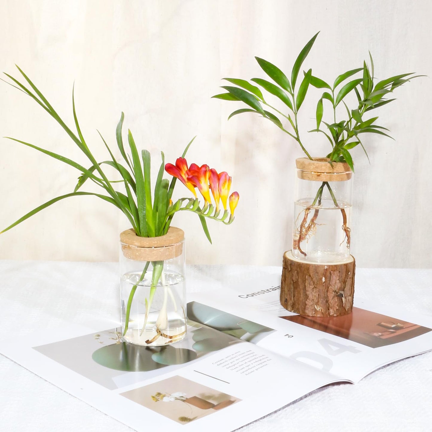 wangsdjy Separated Desktop Glass Flower Vases - Ideal Plants Propagation Stations for Living Room, Bedroom Decoration,Home Decor (2)