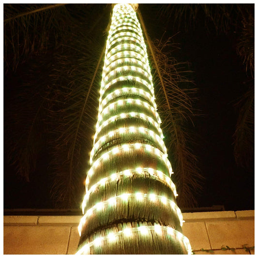 Russell Decor LED Rope Lights Festival Holiday Party Seasonal Christmas Decoration 30ft - 200ft Customized Available (Warm White, 30)