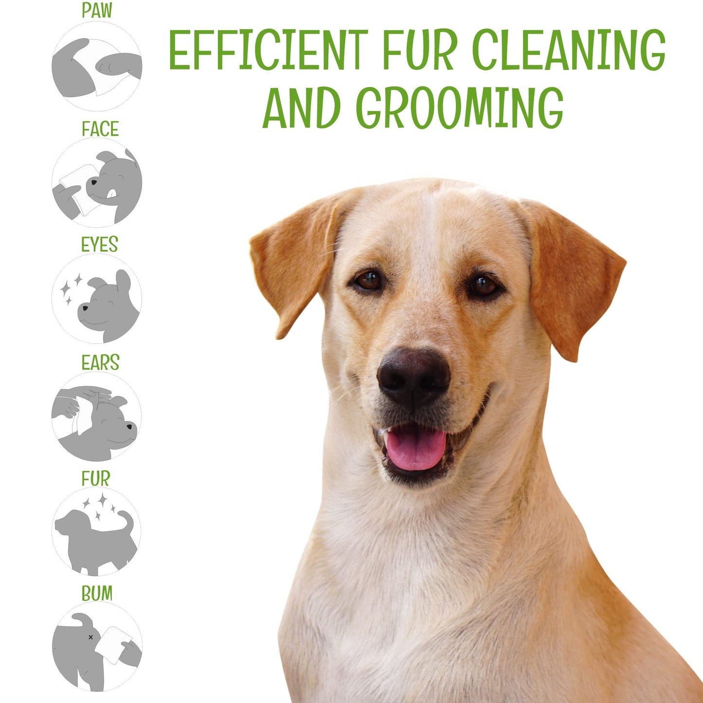 Petazy 400 Dog Wipes for Paws and Butt Ears Eyes | Organic Pet Wipes for Dogs | Lavender Scented Dog Wipes Cleaning Deodorizing | Extra Thick Paw Wipes for Dogs Cats Pets | Bonus Glove Wipes Included