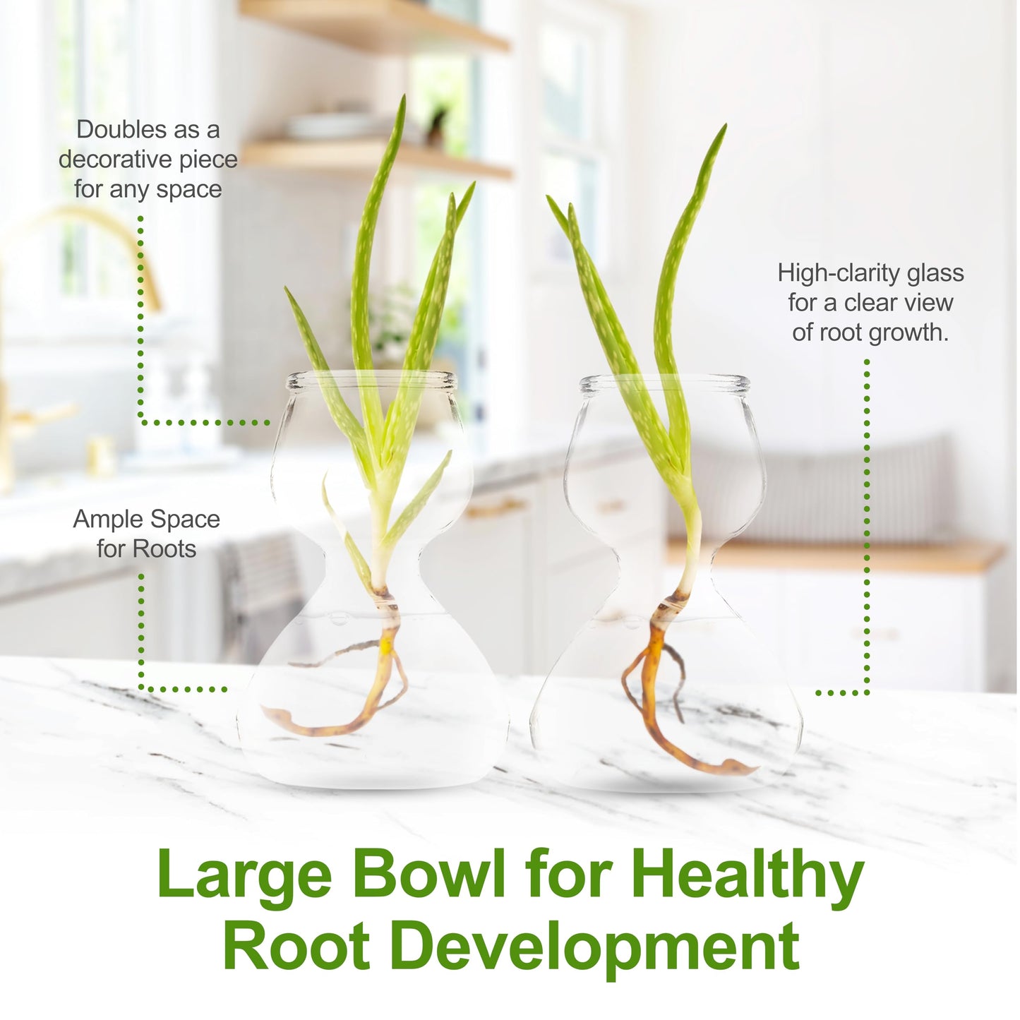 Garden Guru Plant Propagation Stations – Self-Standing Hourglass Glass Vases for Hydroponic Plant Growth – Unique Double Bubble Design for Home Decor (Set of 2)