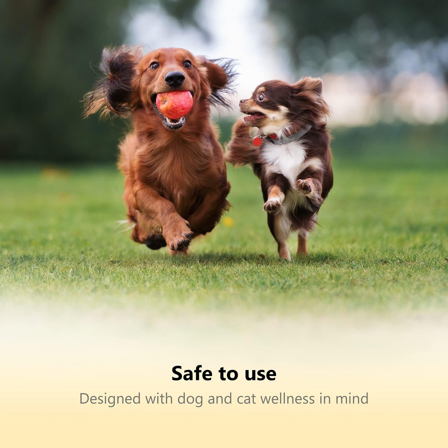 Thunderpaws LED Dog Nail Clippers with Light, Trimmers with Protective Guard, Quick Sensor, Safety Lock and Nail File - Suitable for Large and Small Dogs & Cats (Blue, LED)