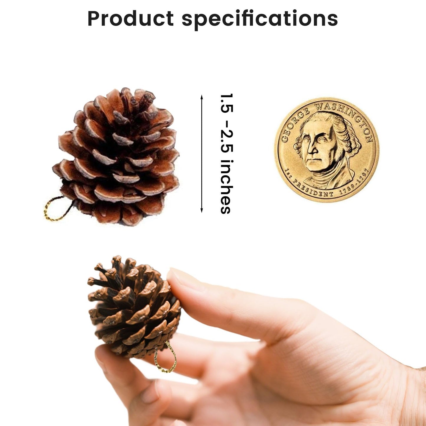JOHOUSE 18 PCS Natural Pine Cones, Christmas Rustic Pinecones Fall Garland Halloween Thanksgiving Decorations, Christmas Tree Fall Ornaments, Winter Vase Filler