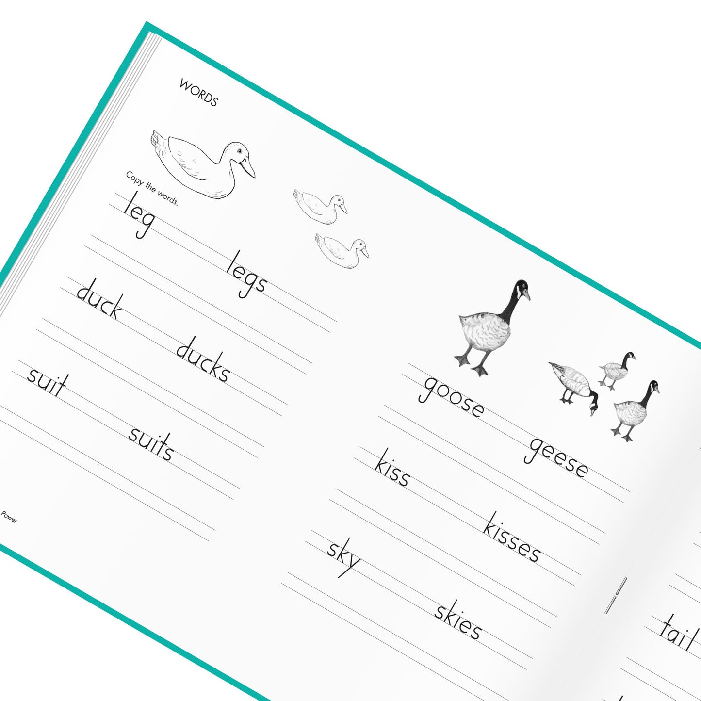 Learning Without Tears Age 7+, 2nd Grade+, Handwriting Practice, Writing Book, School & Home, Language Arts, Tutoring, Sensory